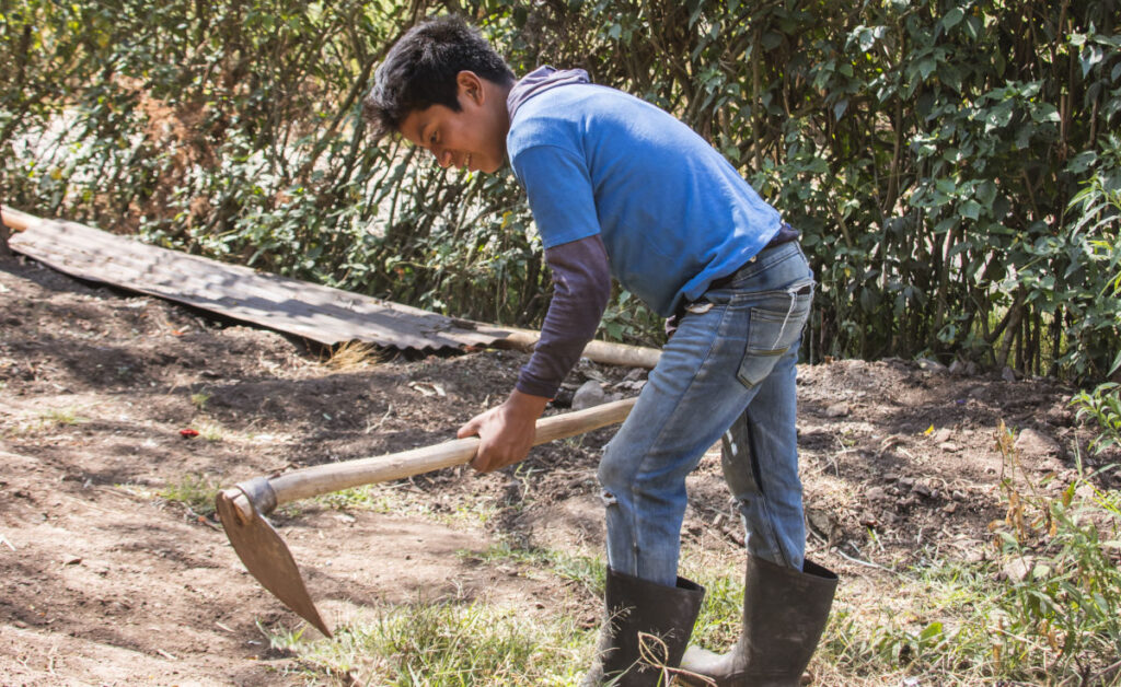 WilmerFields_WEB_1011