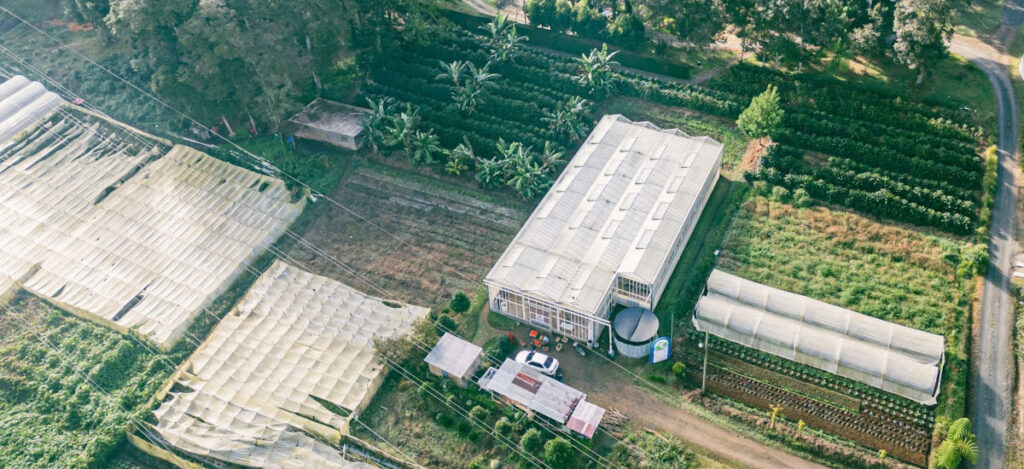 AgricultureProject_2025_01_AGR-WEB